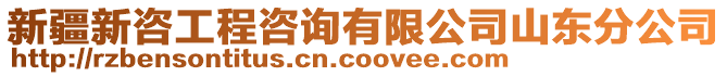 新疆新咨工程咨詢有限公司山東分公司