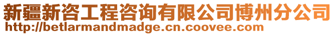 新疆新咨工程咨詢有限公司博州分公司