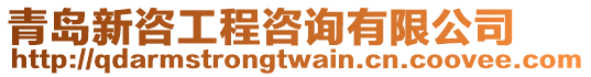 青島新咨工程咨詢有限公司