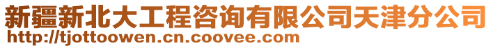 新疆新北大工程咨詢有限公司天津分公司