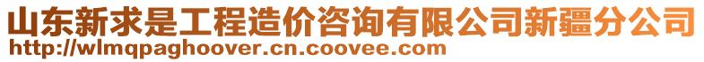 山東新求是工程造價(jià)咨詢有限公司新疆分公司