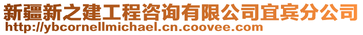 新疆新之建工程咨詢有限公司宜賓分公司