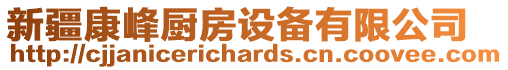 新疆康峰廚房設備有限公司