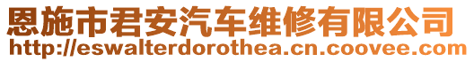 恩施市君安汽車維修有限公司