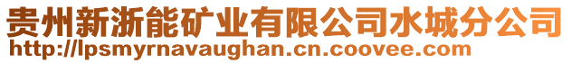 貴州新浙能礦業(yè)有限公司水城分公司