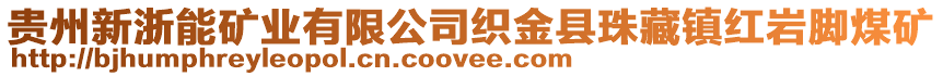 貴州新浙能礦業(yè)有限公司織金縣珠藏鎮(zhèn)紅巖腳煤礦