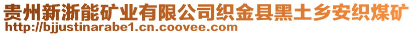 貴州新浙能礦業(yè)有限公司織金縣黑土鄉(xiāng)安織煤礦