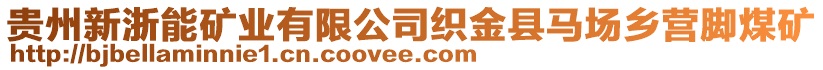 貴州新浙能礦業(yè)有限公司織金縣馬場鄉(xiāng)營腳煤礦