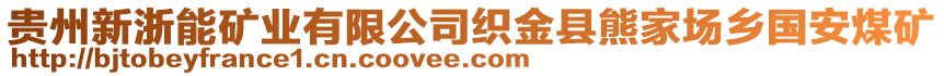 贵州新浙能矿业有限公司织金县熊家场乡国安煤矿