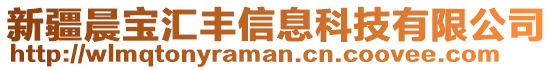 新疆晨宝汇丰信息科技有限公司