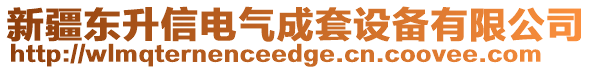 新疆東升信電氣成套設備有限公司