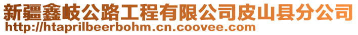 新疆鑫岐公路工程有限公司皮山縣分公司