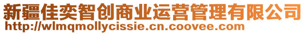 新疆佳奕智創(chuàng)商業(yè)運(yùn)營(yíng)管理有限公司