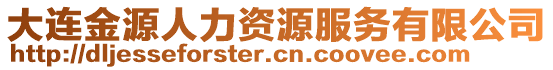 大連金源人力資源服務(wù)有限公司