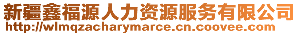 新疆鑫福源人力資源服務(wù)有限公司