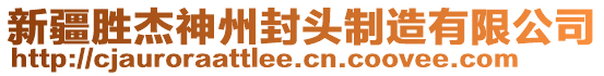 新疆勝杰神州封頭制造有限公司