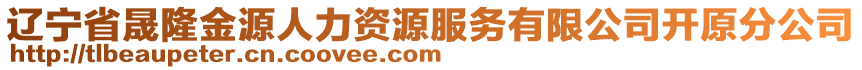 遼寧省晟隆金源人力資源服務(wù)有限公司開原分公司