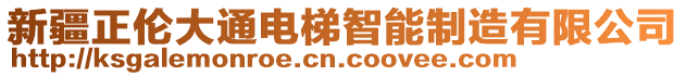 新疆正伦大通电梯智能制造有限公司