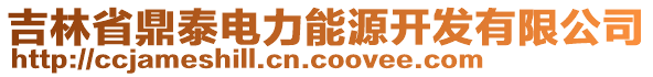 吉林省鼎泰電力能源開發(fā)有限公司