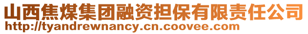 山西焦煤集團(tuán)融資擔(dān)保有限責(zé)任公司