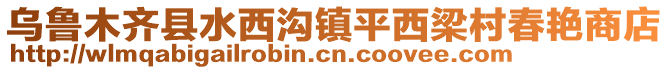 烏魯木齊縣水西溝鎮(zhèn)平西梁村春艷商店