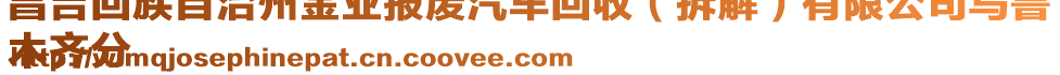 昌吉回族自治州金業(yè)報(bào)廢汽車回收（拆解）有限公司烏魯
木齊分