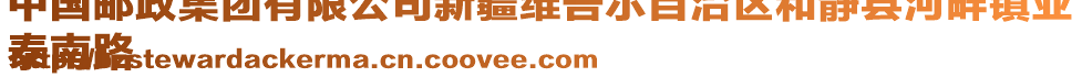 中國(guó)郵政集團(tuán)有限公司新疆維吾爾自治區(qū)和靜縣河畔鎮(zhèn)亞
泰南路