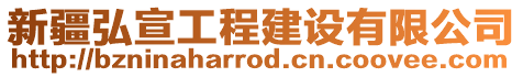 新疆弘宣工程建設有限公司