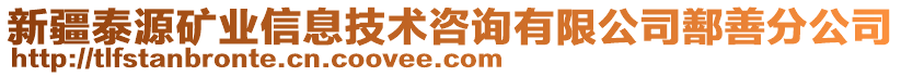 新疆泰源礦業(yè)信息技術(shù)咨詢有限公司鄯善分公司