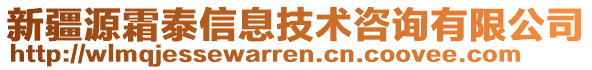 新疆源霜泰信息技術(shù)咨詢有限公司