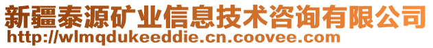 新疆泰源礦業(yè)信息技術(shù)咨詢有限公司