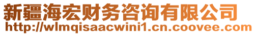 新疆海宏財務咨詢有限公司