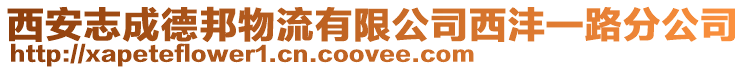 西安志成德邦物流有限公司西灃一路分公司