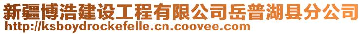 新疆博浩建設(shè)工程有限公司岳普湖縣分公司