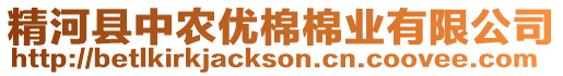 精河縣中農(nóng)優(yōu)棉棉業(yè)有限公司