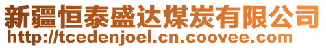 新疆恒泰盛達(dá)煤炭有限公司