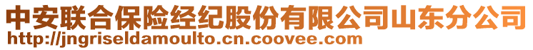 中安聯合保險經紀股份有限公司山東分公司