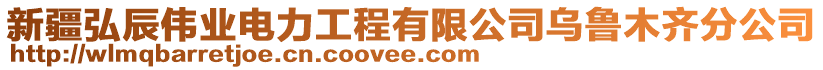 新疆弘辰伟业电力工程有限公司乌鲁木齐分公司