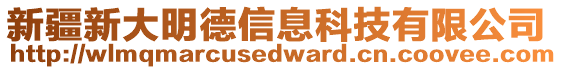 新疆新大明德信息科技有限公司