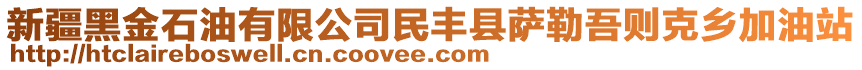 新疆黑金石油有限公司民豐縣薩勒吾則克鄉(xiāng)加油站