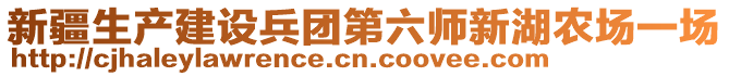 新疆生產建設兵團第六師新湖農場一場