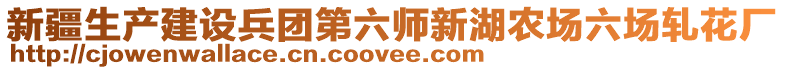 新疆生產(chǎn)建設兵團第六師新湖農(nóng)場六場軋花廠