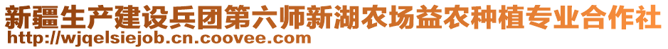 新疆生產(chǎn)建設(shè)兵團(tuán)第六師新湖農(nóng)場益農(nóng)種植專業(yè)合作社