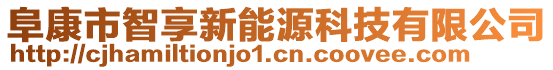 阜康市智享新能源科技有限公司