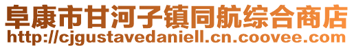 阜康市甘河子鎮同航綜合商店