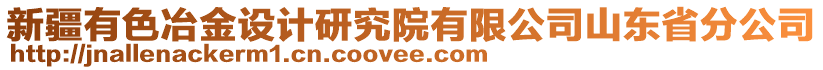 新疆有色冶金设计研究院有限公司山东省分公司