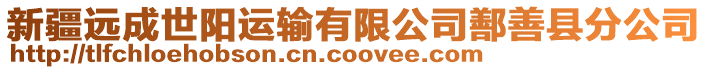 新疆遠(yuǎn)成世陽運輸有限公司鄯善縣分公司