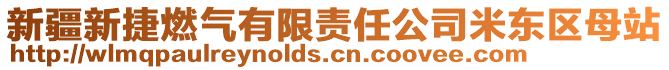 新疆新捷燃?xì)庥邢挢?zé)任公司米東區(qū)母站