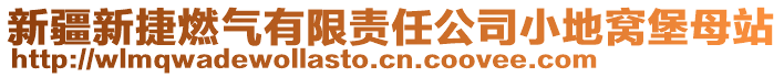 新疆新捷燃气有限责任公司小地窝堡母站