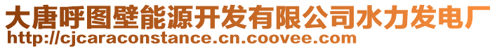 大唐呼圖壁能源開發(fā)有限公司水力發(fā)電廠